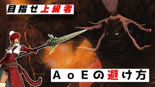 【目指せ上級者】AoEの避け方【FF14】