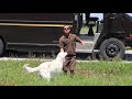 Watch what this UPS driver did in the middle of Texas