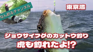 東京湾 ショウサイフグのカットウ釣り 虎も釣れたよ!!