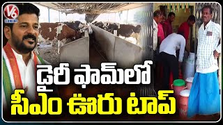 Special Story On CM Revanth Reddy Own Village Kondareddy Palli Dairy Farms | V6 News