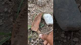 పురాతన నూరే దంచే రాయి #grinding stone #kallem #discoverman