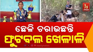 ରାଜ୍ୟସ୍ତରୀୟ ଫୁଟବଲ ଖେଳାଳି ଚରାଉଛନ୍ତି ଛେଳି | Nandighosha TV