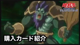 【遊戯王】購入カード紹介