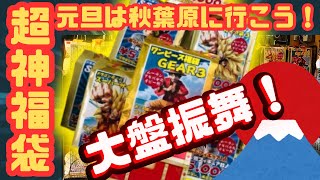 【2025年元旦秋葉原】フィギュア福袋大量購入！【ドラゴンボール・ワンピース】