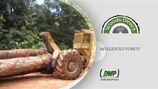 Woods Direct – Your Direct Source for Tropical Hardwoods - Greenheart, Purpleheart, Mora, Wallaba