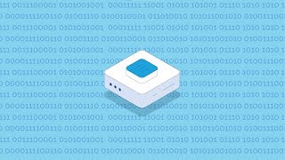 CERNE - Telesoft's Intrusion Detection System