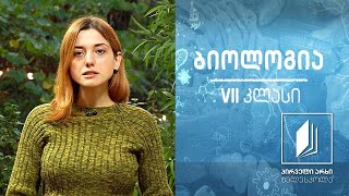 ბიოლოგია VII კლასი - სპოროვანი მცენარეები. ხავსები და გვიმრები. ხავსების მნიშვნელობა #ტელესკოლა