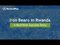 How Iron Beans Gained Ground in Rwanda