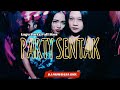 PARTY SENTAK SPESIAL AKHIR TAHUN FULL DROP VOL. 3 🌴 - DJ PRIMAVERA RMX - NEW REMIX 2024