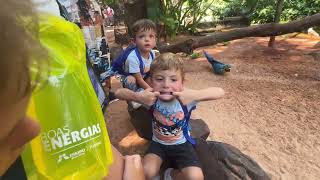 Trigêmeos de Florianópolis no Parque das Aves em Foz do Iguaçu