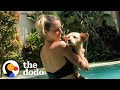 Puppy Rescued From Bottom Of A Ravine Loves The Water Now | The Dodo Faith = Restored