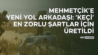 Mehmetçik’e yeni yol arkadaşı: 'Keçi'