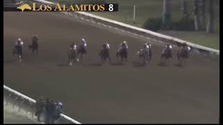 Flash Bak Wins the Alamitos Champion of Champions