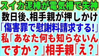 【スカッとする話】スイカ畑に泥棒が押し入り、電流注意の柵に引っ掛かり失神した→数日後、泥棒が親と一緒に家へ押しかけ「慰謝料を払え！」私「あなた何も知らないんですか？」直後