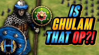 A Closer Look At The Ghulam, ITS NOT THAT OP? | AoE2