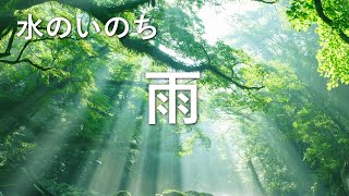 混声合唱組曲《水のいのち》より　「雨」　合唱：シンコーラス　ピアノ：野間由起　指揮：松田紳