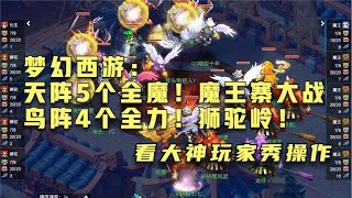 梦幻西游：天阵5个全魔！魔王寨大战鸟阵4个全力！狮驼岭！