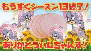 【謎動画】シーズン13終了！ハムちゃんありがとう！！【トムとジェリーチェイスチェイス】