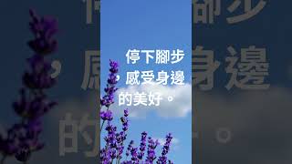 每日一句正能量語錄分享自我激勵正面思考正能量名言EP23#shorts #鼓勵#正面#積極#語錄