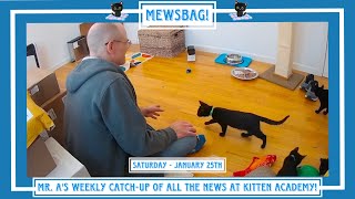 Mewsbag! - Saturday January 25th