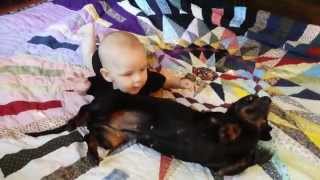 Dachshund with baby