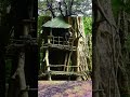 building tree house diy wood decor home plastic house live in forest survival camping