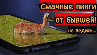 Сочные пинги от бывшей. Повёлся проиграл!