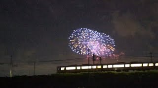 花火と東海道線313系(1)