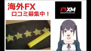 海外FX会社 XM（エックスエム） 口コミ 評価 レビュー