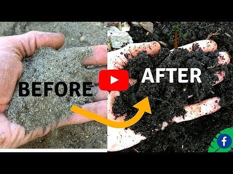 5 TIPS FOR BUILDING PERFECT HEALTHY SOIL FOR FREE 5 TIPS FOR BUILDING PERFECT HEALTHY SOIL FOR FREE