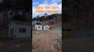 시골집 7천에 샀는데 5백에도 안팔린데요! 재미있는 shorts 옛날집 여행 부동산 빈집 한옥 멋진산 오지마을 전원주택