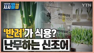 [시청자브리핑 시시콜콜] ‘반려’가 식용? 난무하는 신조어 / YTN