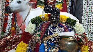 PAGALPATTHU UTSAVAM DAY 7 PERUMAL VENNAITHAYA KANNAN