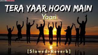 Lofi Tera Yaar Hoon Main | Sonu Ke Titu Ki Sweety | Arijit Singh Rochak,Kohli | 2024 Slowed Reverb