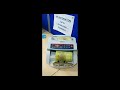 shorts vc 2108 currency counting machine with fake note detector viral ytshorts trend vc2108