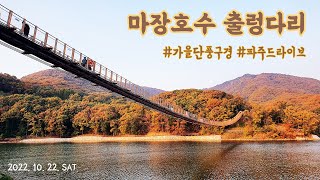 파주 마장호수 가을 단풍 구경하기ㅣ서울에서 1시간, 출렁다리, 근교 드라이브, 교황 마늘빵, 산책, 낙엽, 토요일 주말 데이트