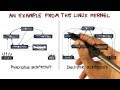 Real World Example - Georgia Tech - Software Development Process