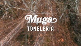 Bodegas Muga-  Tonelería