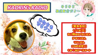 【雑談配信】今日のデザートなんですか？愛犬ビーグルちびっこと収益化するまで終われまてん♪Day 39.