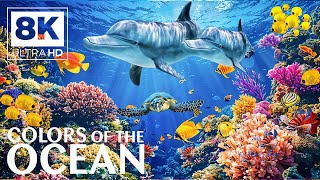 Aquarium 8K VIDEO (ULTRA HD) 🐠 Mesmerizing Underwater World - Calming Aquarium Music