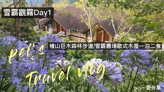 暑假小旅行—雪霸觀霧Day1  /檜山巨木森林步道  /雪霸農場歐式小木屋一泊二食  /雪霸尋寶趣