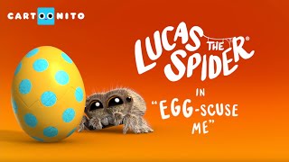 Lucas the Spider - Egg-scuse me - Short