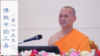 2021年1月3日〈佛教中的三毒: 贪嗔痴〉(二十五) Luang Phi William