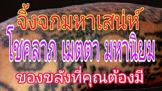 เครื่องราง จิ้งจกเมตตา มหาเสน่ห์