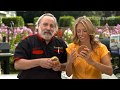 How To Make The BEST Steak Burgers And Safe Medium Rare Hamburgers How To Make The BEST Steak Burgers And Safe Medium Rare Hamburgers