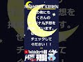 11月27日 松戸競輪 fⅠナイター 最終日12r s級決勝 20時35分発走 トリマクリオリジナル予想 shorts