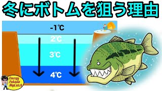 冬のバス釣りでボトムを狙う理由を図解で解説