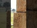 hampi diaries part 2 hampi incredibleindia shorts karnataka trending googlepixel6a reelsindia