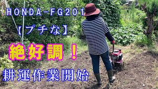 HONDA FG201 【プチな】絶好調！耕運作業開始