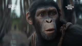KINGDOM OF THE PLANET OF THE APES All Movie Clips 2024